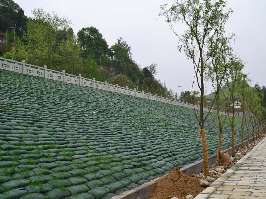 成都排水板,成都生態(tài)袋,成都植草格|成都勁文壹佳建材科技有限公司